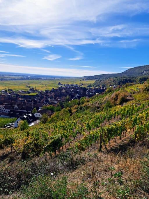 Entre Vignes Et Vergers Gite Parenthese Gueberschwihr Ngoại thất bức ảnh
